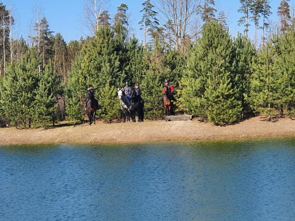 Дома для отпуска Viesu māja Forrest Dzimtmisa-14