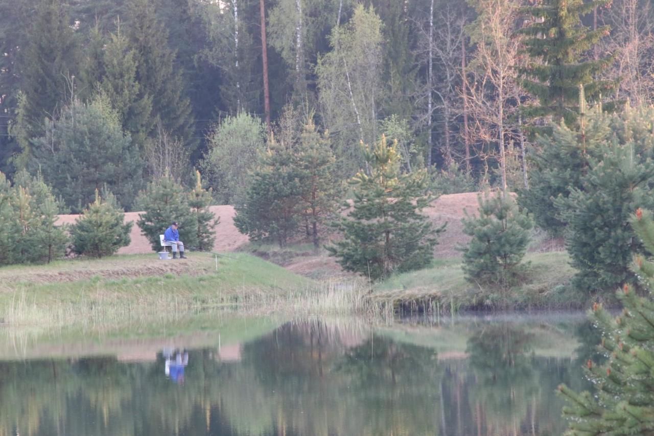 Дома для отпуска Viesu māja Forrest Dzimtmisa